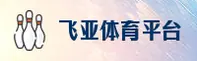 使用指南与常见问题